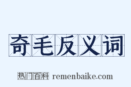 奇毛反义词是什么意思的图片